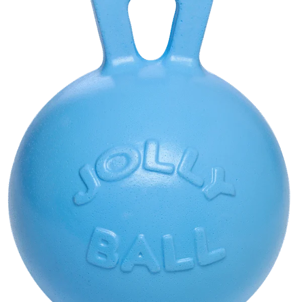 Míč na hraní pro koně, modrý s vůní borůvek, 25 cm – Jolly Pets Jolly Ball