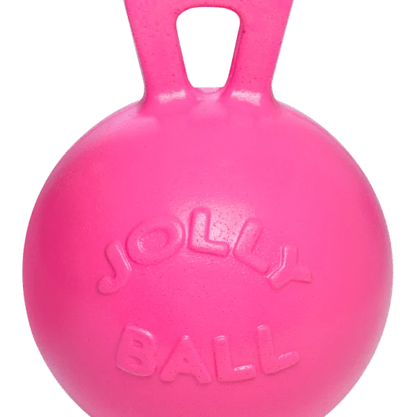 Míč na hraní pro koně s vůní žvýkačky, růžový, 25 cm – Jolly Pets Jolly Ball
