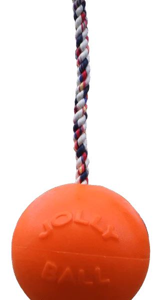 Míč pro psy s lanem, plovoucí, vanilkový M (15 cm) – Jolly Pets Romp-n-Roll