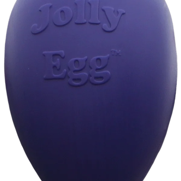 Plastové hrací vejce pro psy, fialové, 20 cm – Jolly Pets Egg