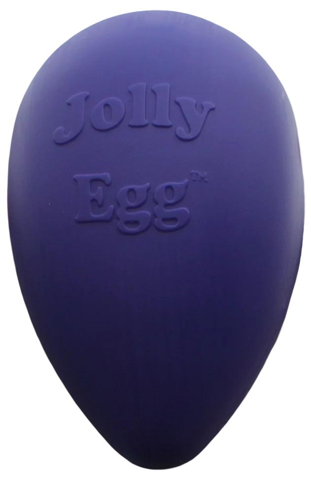 Plastové hrací vejce pro psy, fialové, 30 cm – Jolly Pets Egg - Obrázek 1