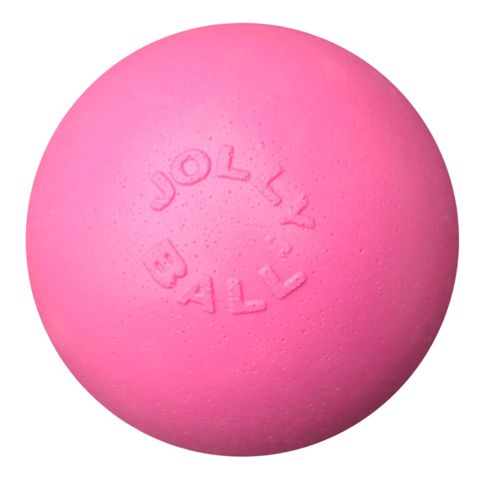 JOLL068B.png Plovoucí míček pro psy, 10 cm – Jolly Pets Jolly Bounce-n Play Kauwgum S - Obrázek 1