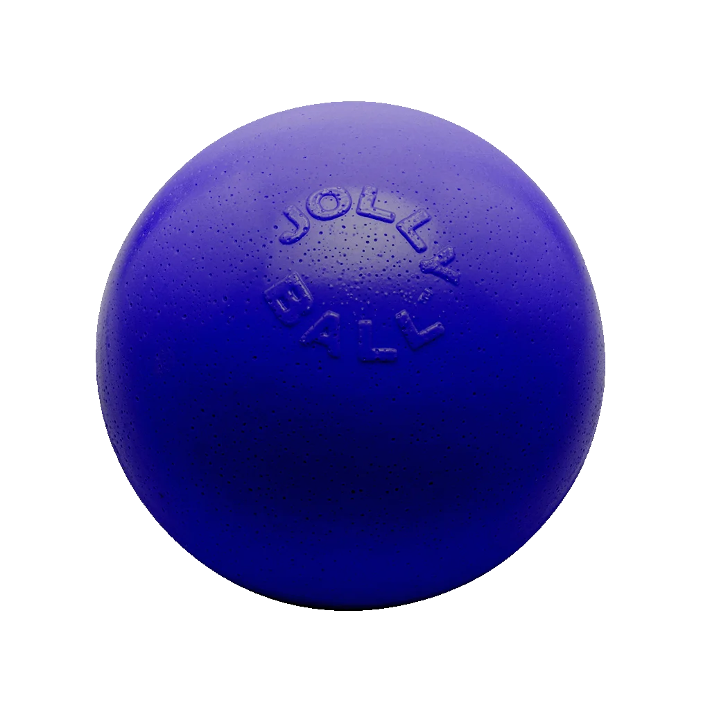 JOLL068FB.png Skákací plovoucí míček pro psy, modrý M, 15 cm – Jolly Pets Bounce-n Play - Obrázek 1