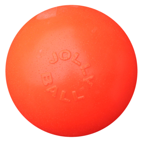 Skákací míček pro psy Vanilka, 15 cm – Jolly Pets Bounce-n Play