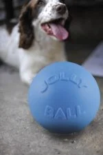 Skákací plovoucí míč pro psy, borůvkový L, 20 cm – Jolly Pets Bounce-n-Play - Obrázek 4