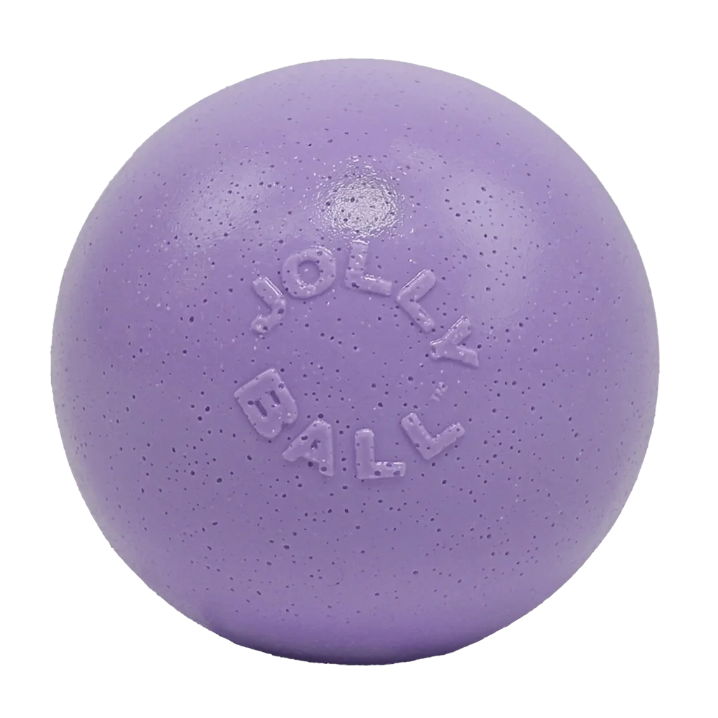 JOLL068JP-1.png Skákací plovoucí míč pro psy, světle fialový L, 20 cm – Jolly Pets Bounce-n-Play - Obrázek 1
