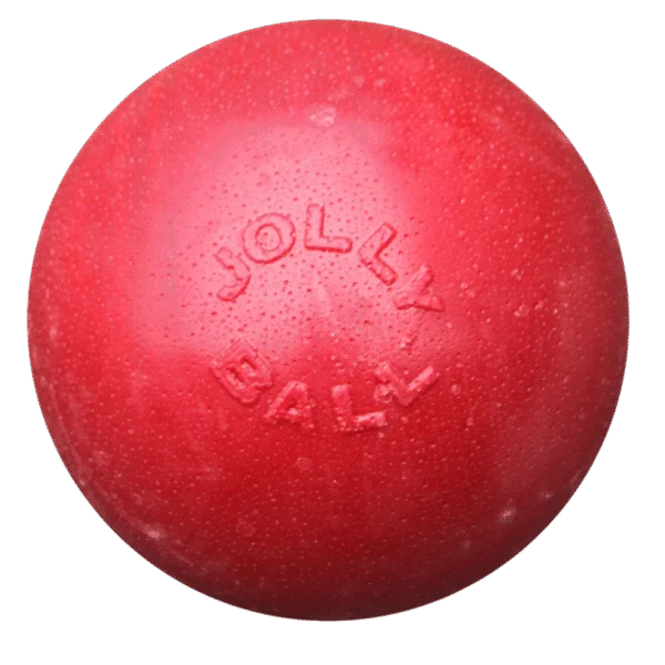 Skákací plovoucí míč pro psa, červený L, 20 cm – Jolly Pets Bounce-n Play
