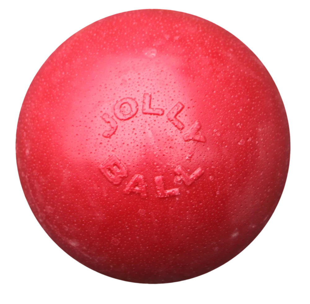Skákací plovoucí míč pro psa, červený L, 20 cm – Jolly Pets Bounce-n Play - Obrázek 1