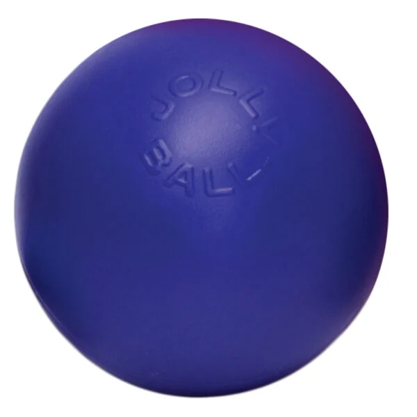 Modrý míč pro psa s hladkým povrchem, 15 cm – Jolly Pets Push-n-Play