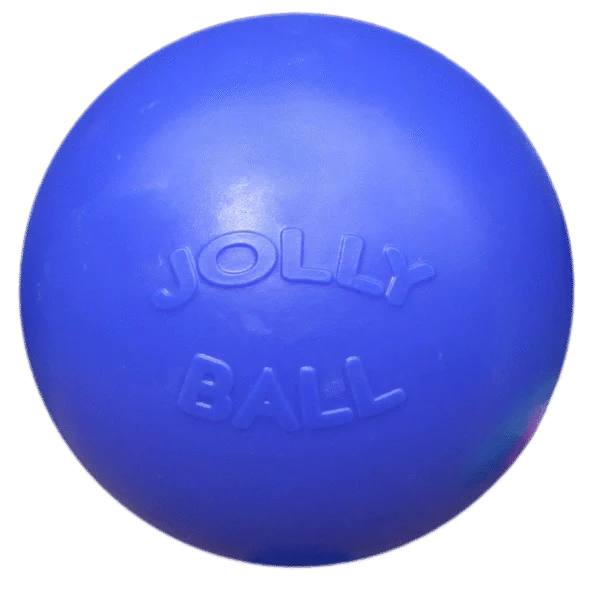 Hladký míč pro psy, modrý, 25 cm – Jolly Pets Push-n-Play