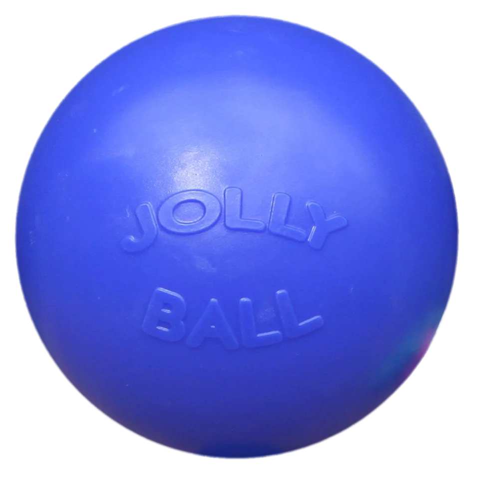 Hladký míč pro psy, modrý, 25 cm – Jolly Pets Push-n-Play - Obrázek 1