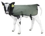 Voděodolná a prodyšná deka pro telata, privátní značka, 70 cm – Hofman Animal Care Calf Coat - Obrázek 4
