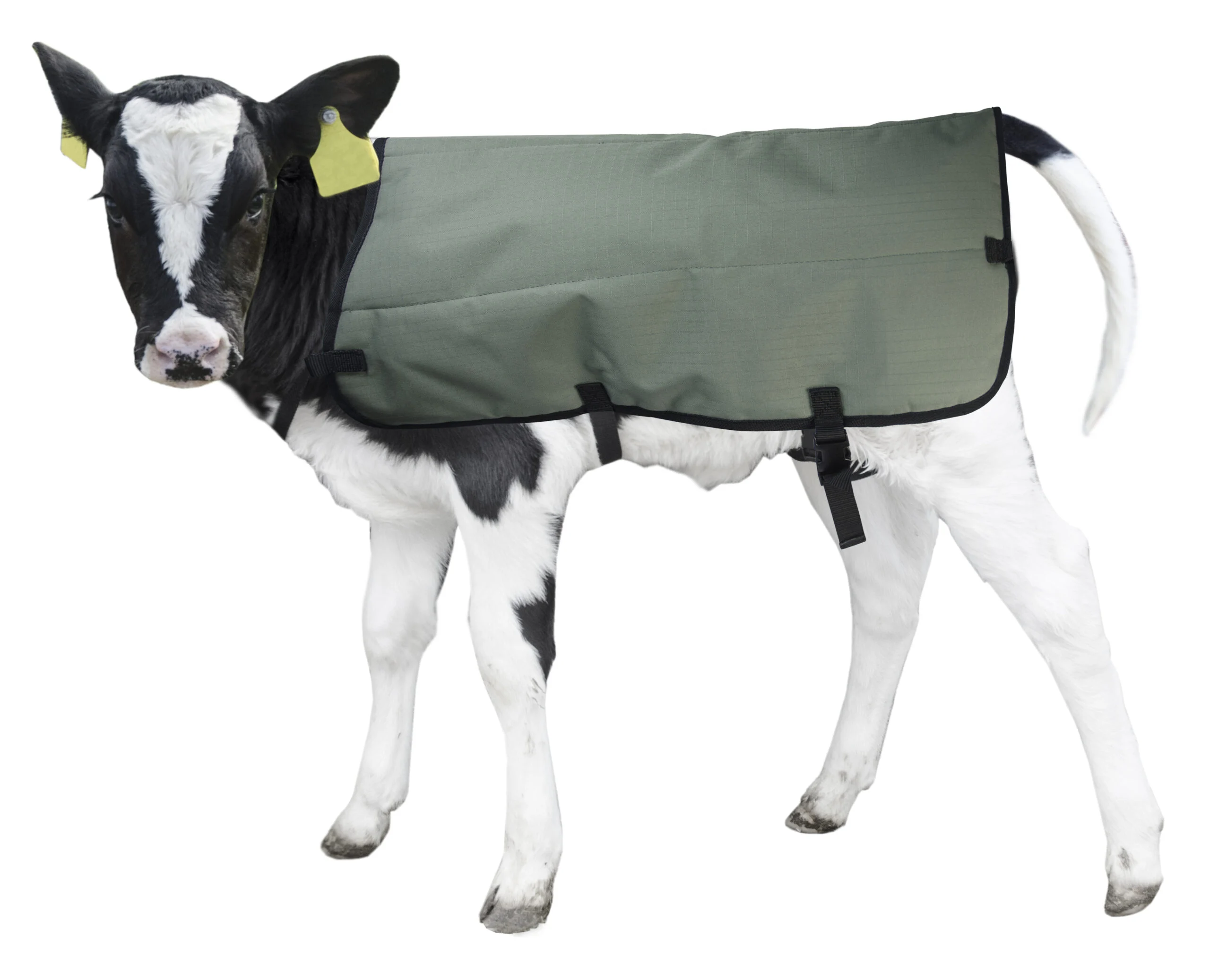 Voděodolná a prodyšná deka pro telata, privátní značka, 70 cm – Hofman Animal Care Calf Coat - Obrázek 4