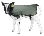 Voděodolná a prodyšná deka pro telata, 70 cm – Hofman Animal Care Calf Coat - Obrázek 2