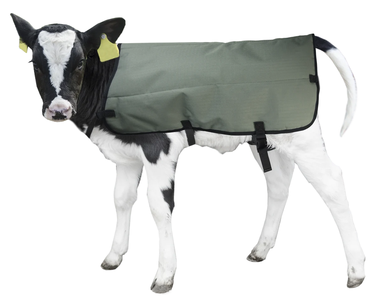 Voděodolná a prodyšná deka pro telata, 70 cm – Hofman Animal Care Calf Coat - Obrázek 2