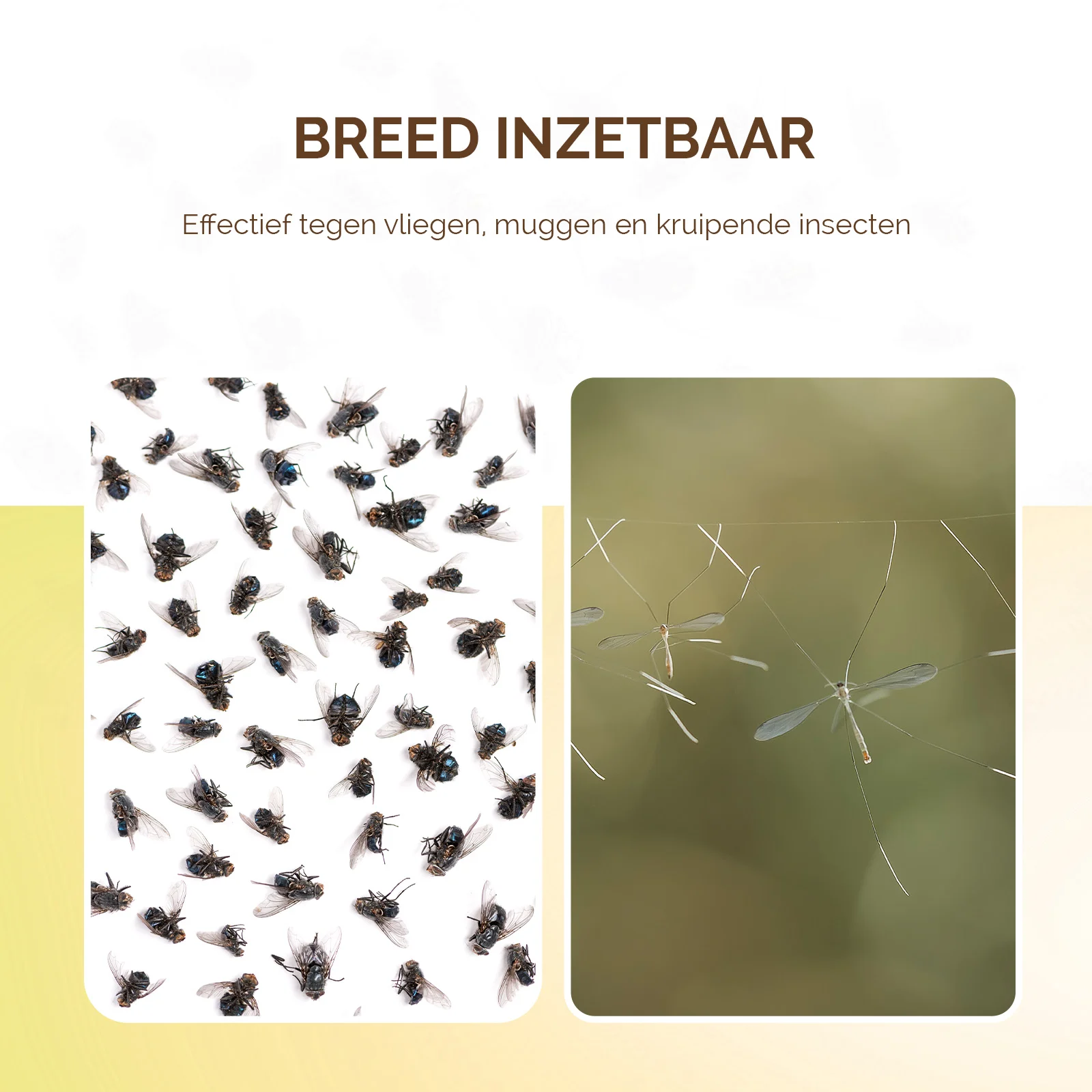 Lepicí deska do lapače hmyzu, bez jedů Ø 13,5 cm – Knock Pest - Obrázek 3