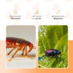 Lapač hmyzu s teplým a modrým světlem, 5 lepicích desek – Knock Pest - Obrázek 6