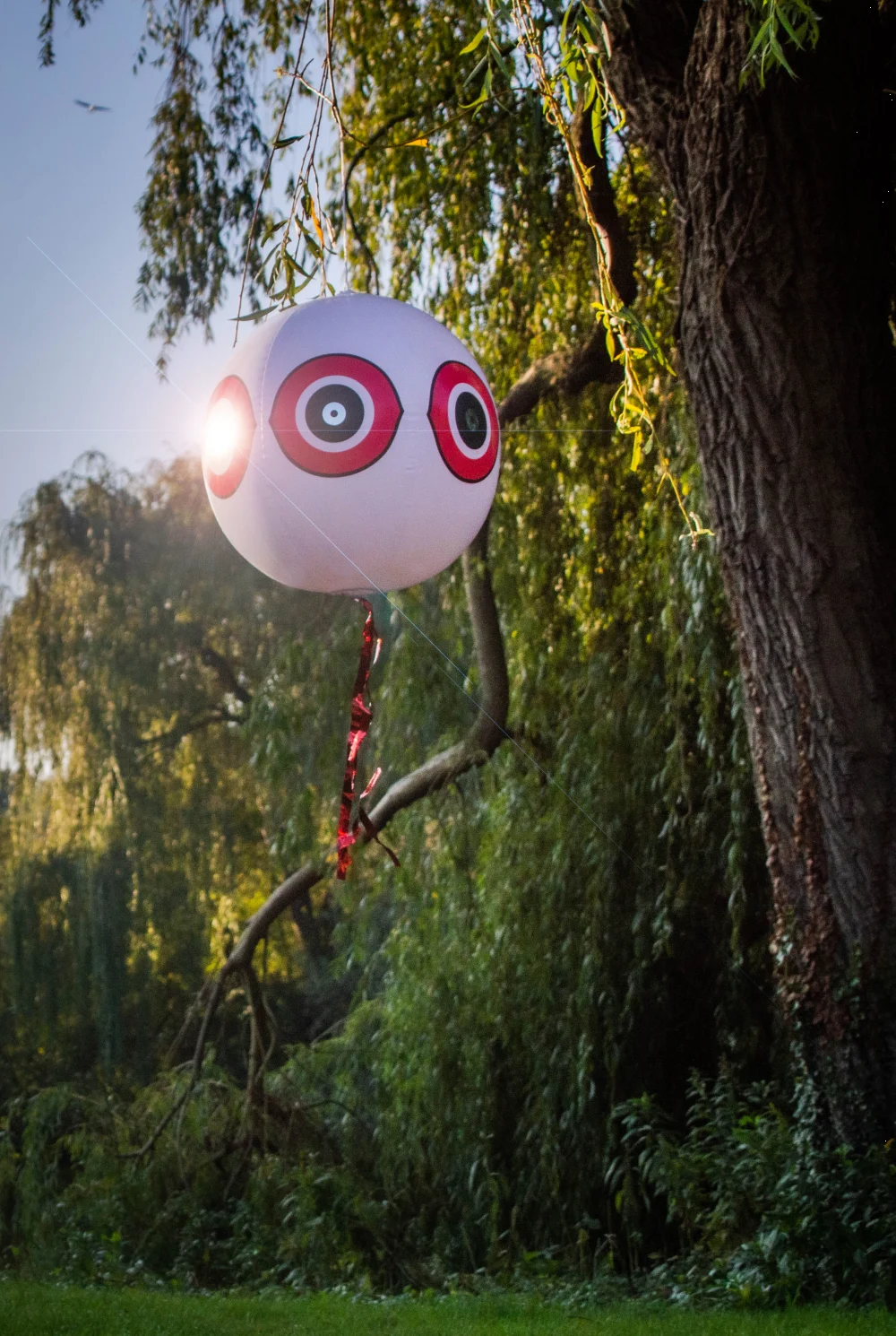 Balón na plašení ptáků se závěsnou šňůrou, bílý, Ø 40 cm – Knock Pest - Obrázek 4
