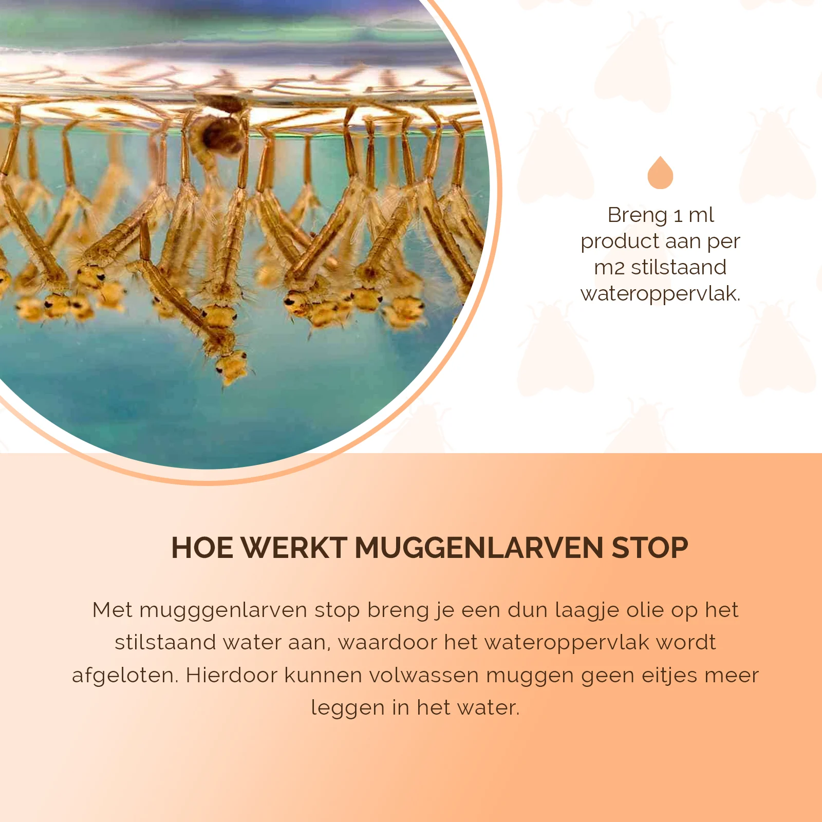 Přípravek proti larvám komárů ve stojaté vodě, 50 ml – Knock Pest Muggenlarven Stop - Obrázek 5