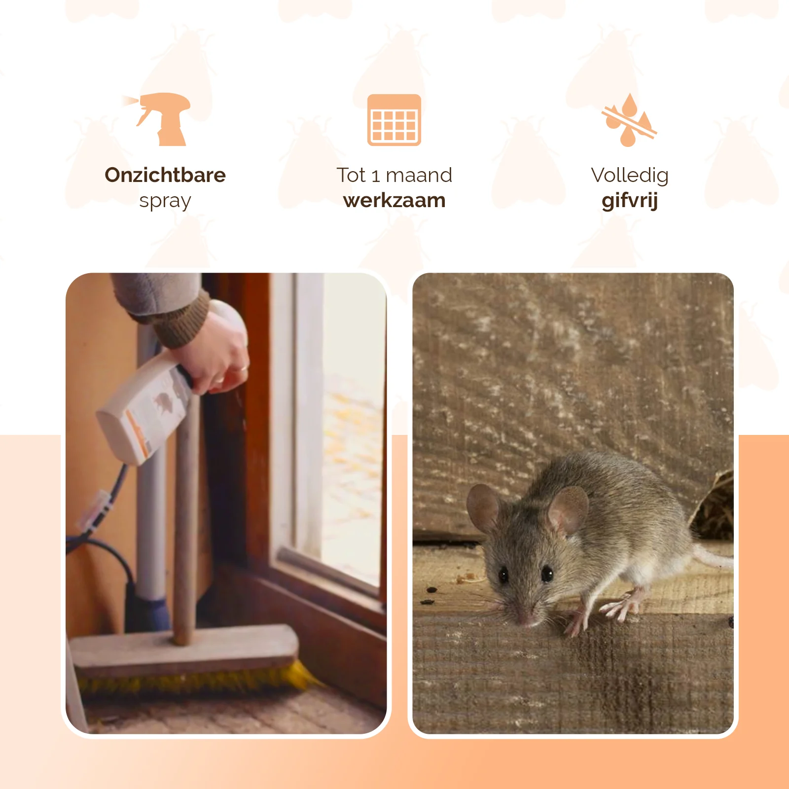 Sprej proti myším do interiéru, 250 ml – Knock Pest BlijfWeg Muis - Obrázek 3