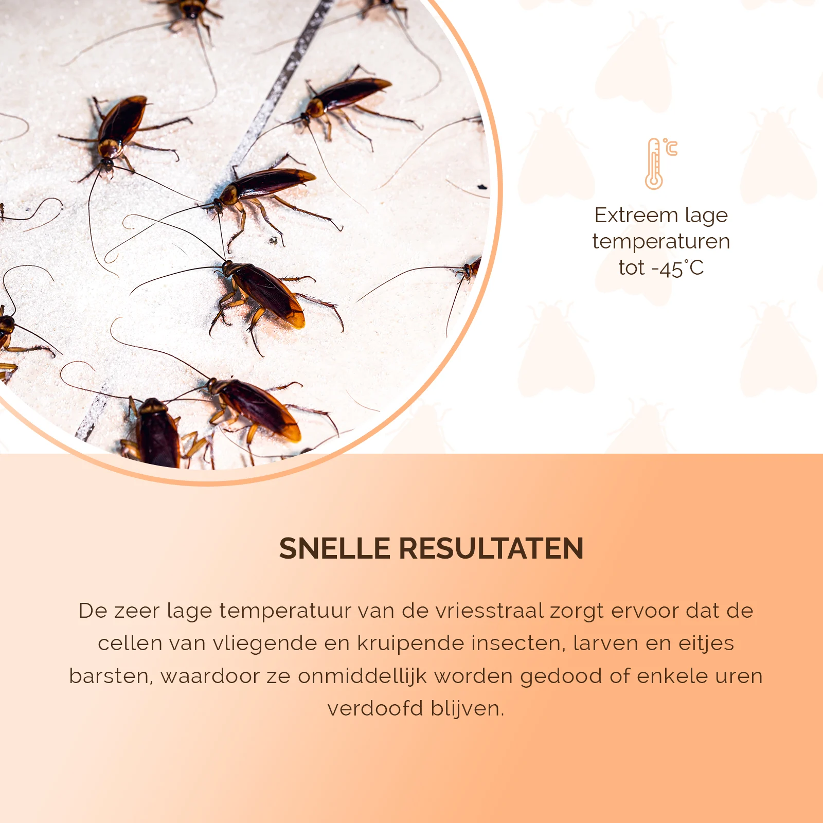 Mrazicí sprej proti hmyzu se dvěma režimy rozprašování – Knock Pest Freeze It - Obrázek 5