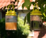 Past na mouchy s návnadou pro venkovní použití, 2 l – Knock Pest FlyNip - Obrázek 6