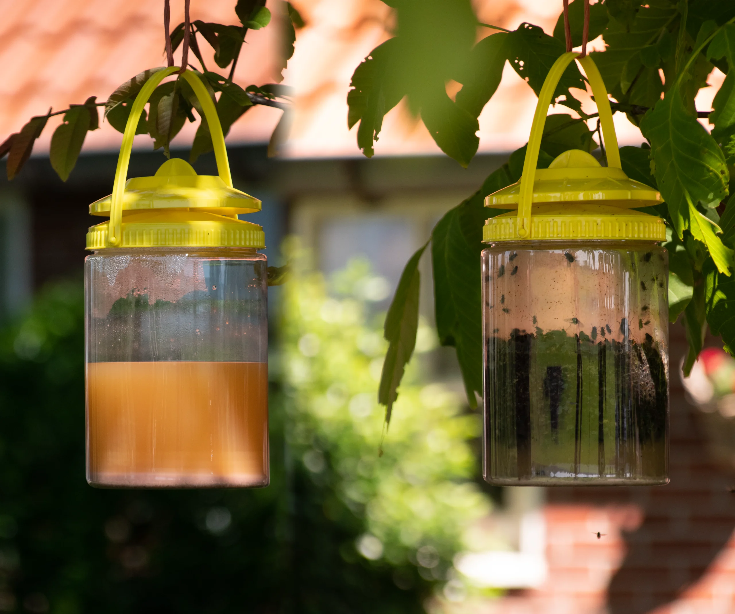 Past na mouchy s návnadou pro venkovní použití, 2 l – Knock Pest FlyNip - Obrázek 6