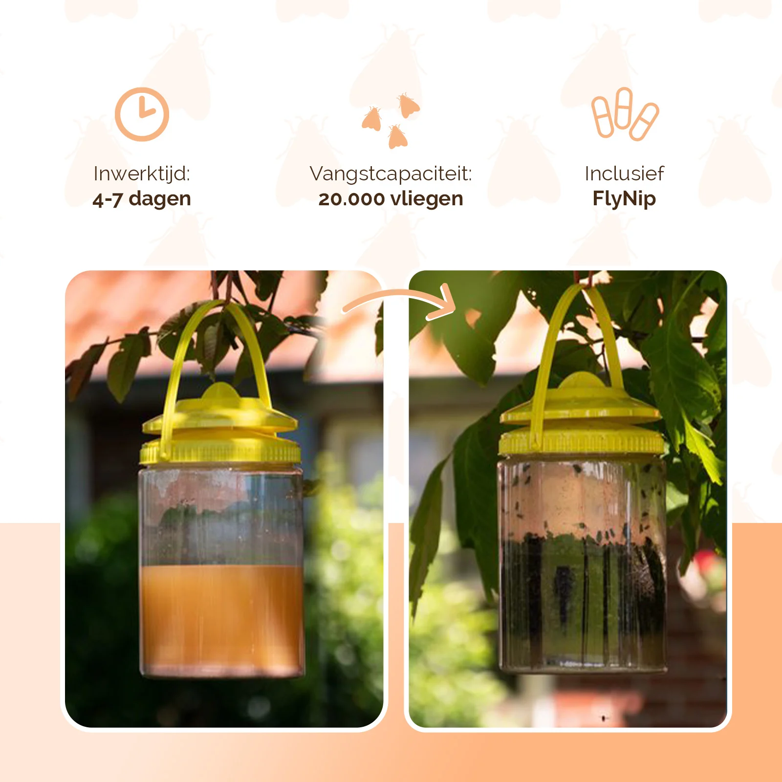 Past na mouchy s návnadou pro venkovní použití, 2 l – Knock Pest FlyNip - Obrázek 3