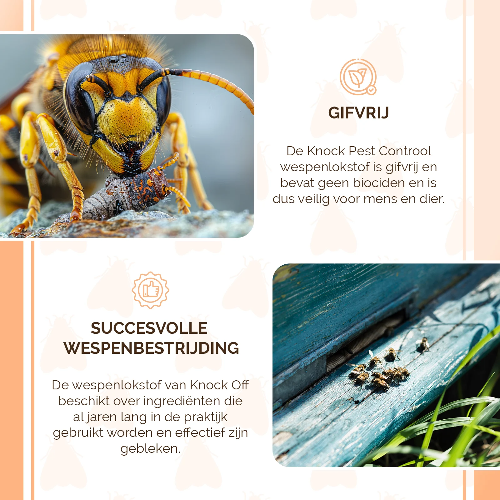 Návnada na vosy do pastí na vosy, 1 l – Knock Pest Wasp Bait (Wespentraktatie) - Obrázek 4