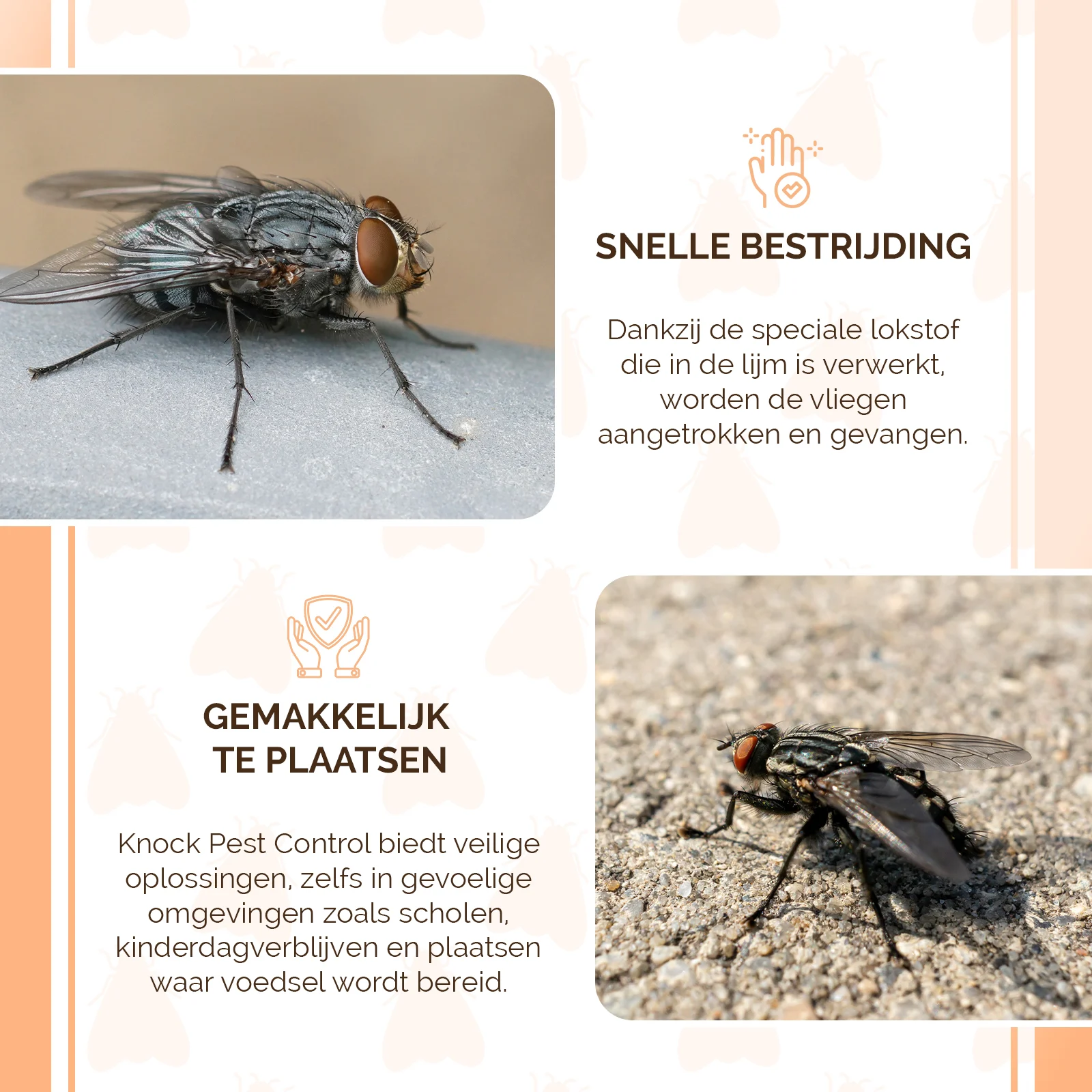 Lapač much na okno, průhledný, 4 kusy – Knock Pest - Obrázek 3