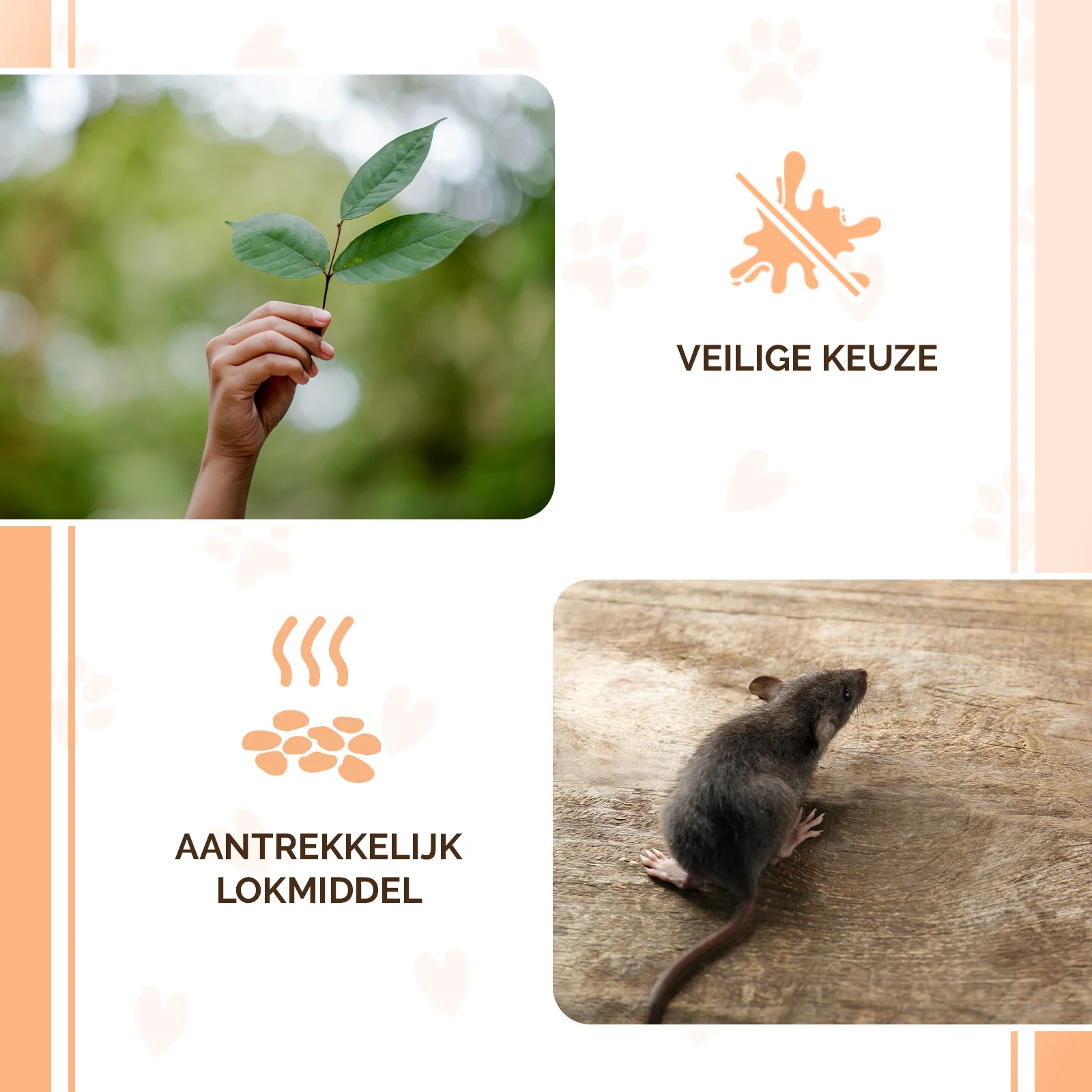 Návnadové granule pro myši a krysy, 50 g – Knock Pest Traktatie Pellets - Obrázek 4
