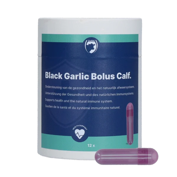 Česnekový bolus pro telata se ženšenem a čekankou – Excellent Black Garlic Bolus Kalf