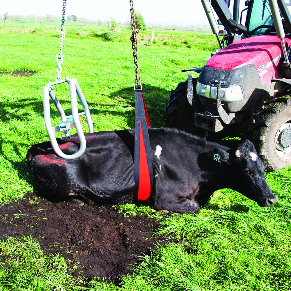 Břišní popruh pro zvedák krav 2,4 m, břišní opora široká 20 cm – Belly strap Front Lift - Obrázek 2