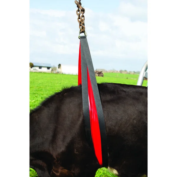 Břišní popruh pro zvedák krav 2,4 m, břišní opora široká 20 cm – Belly strap Front Lift