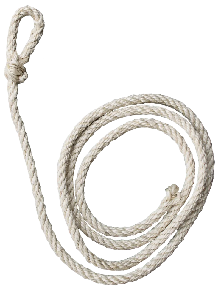 Lano pro krávy z bílého sisalu, délka 210 cm a tloušťka cca 10 mm - Obrázek 1