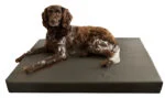 Ortopedický pelíšek pro psa s 3 cm paměťové pěny, 90 x 125 cm – Hofman Animal Care HD Dog Bed L - Obrázek 2