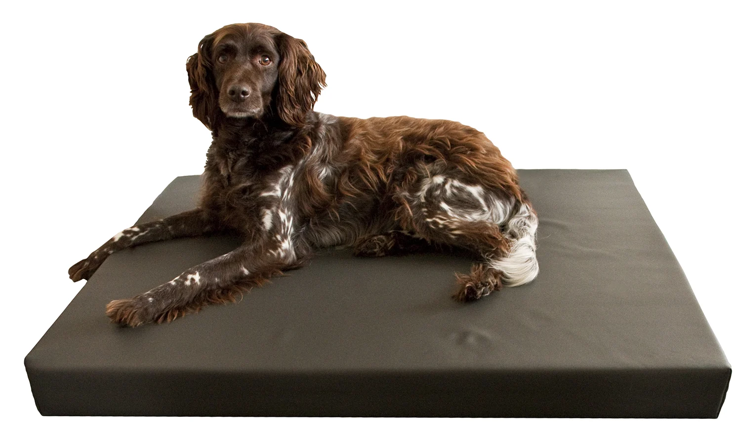 Ortopedický pelíšek pro psa s 3 cm paměťové pěny, 90 x 125 cm – Hofman Animal Care HD Dog Bed L - Obrázek 2