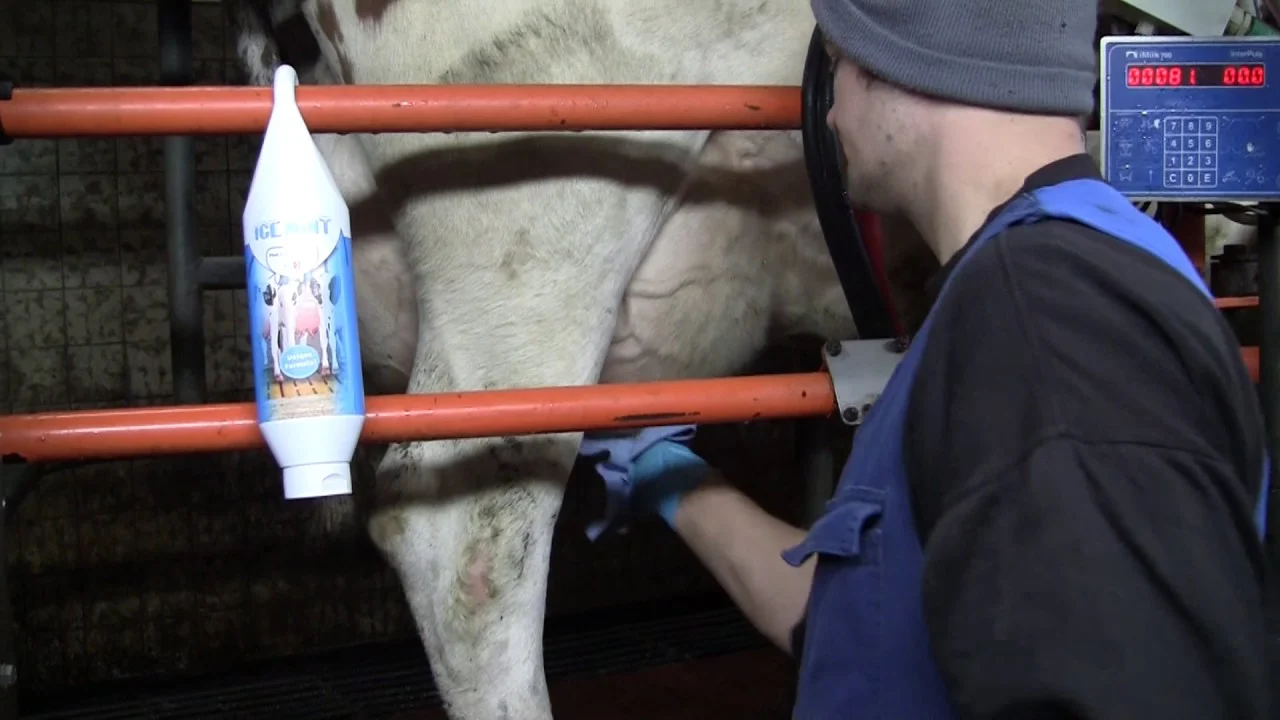 Gel na vemena s mátovým olejem, 2,5 l a dávkovací pumpička – Vet Animal Care Ice Mint - Obrázek 2