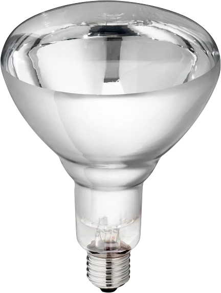 Výhřevná žárovka z tvrdého skla pro mláďata, 150 W, bílá - Obrázek 1