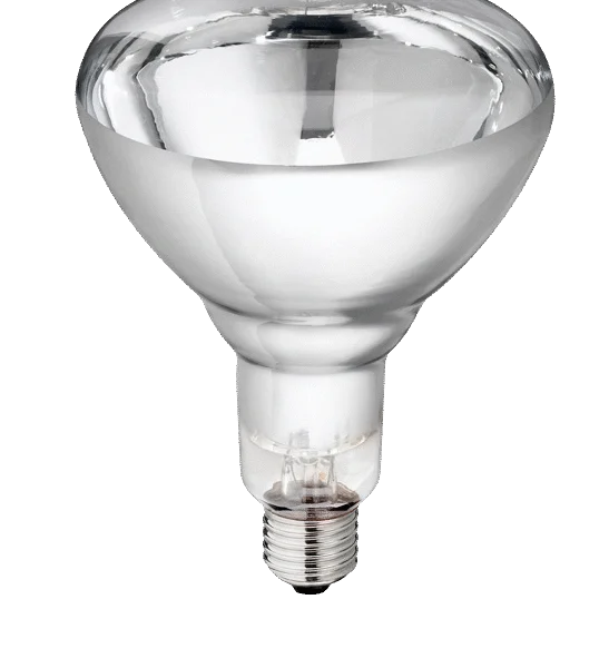 Výhřevná žárovka z tvrdého skla pro mláďata, 250 W, bílá