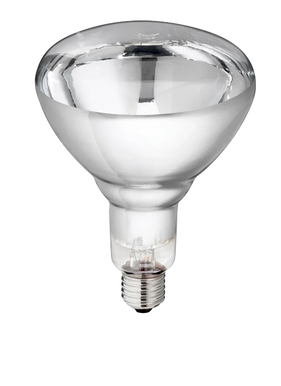 Výhřevná žárovka z tvrdého skla pro mláďata, 250 W, bílá - Obrázek 1