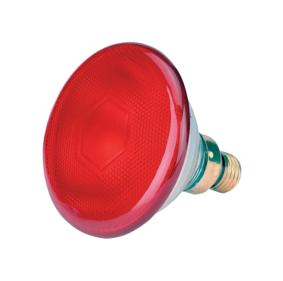 LAMP0011.png Červená úsporná žárovka 100 W - Obrázek 1