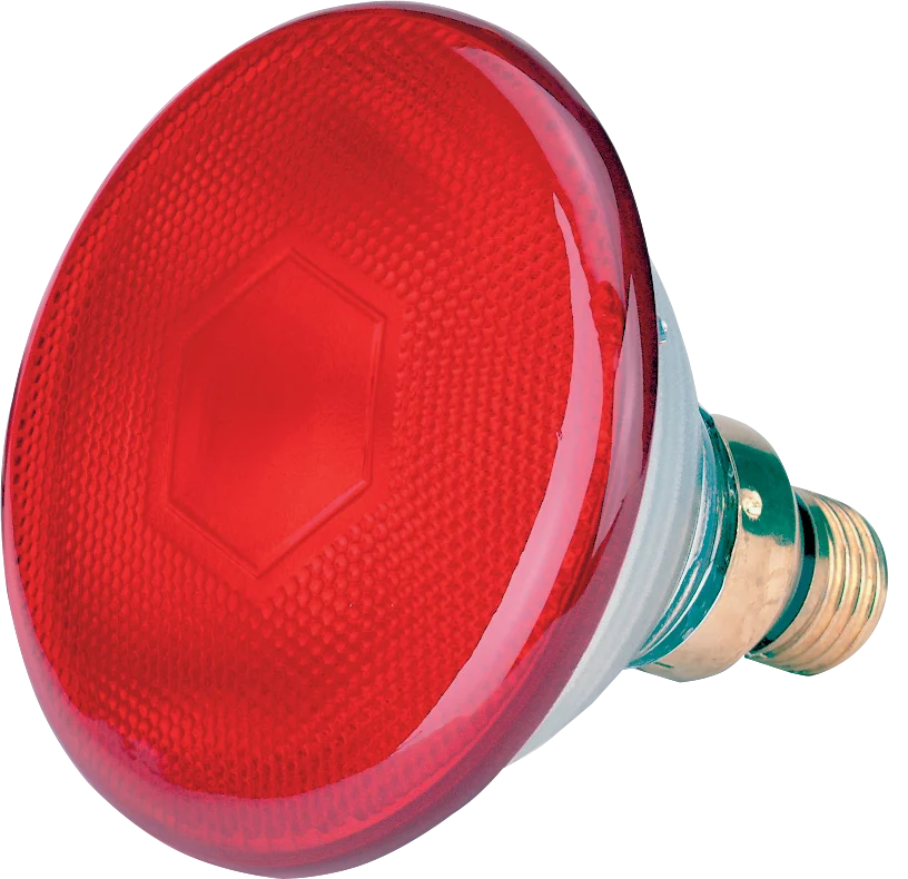 LAMP0015.png Úsporná žárovka 175 W, červená - Obrázek 1