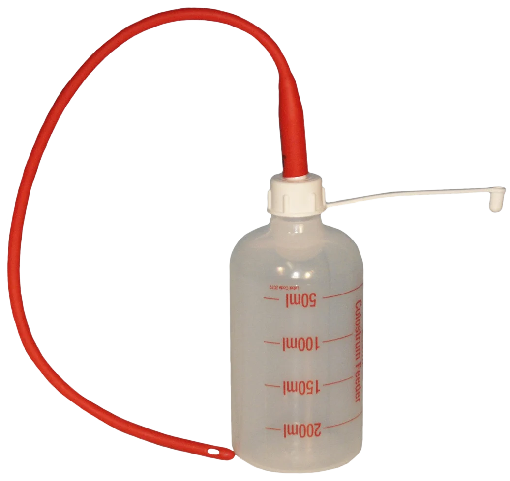 Sonda pro jehňata 40 cm s lahví o objemu 250 ml - Obrázek 1