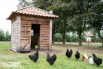 Zobací blok pro nosnice z lučního sena, 3,5 kg – LAX Tierfutter - Obrázek 5