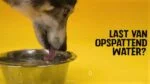 Silikonová miska na krmivo a vodu pro psy s okrajem proti rozlévání, 800 ml, antracitová – Excellent Pets No-Spill Bowl - Obrázek 4