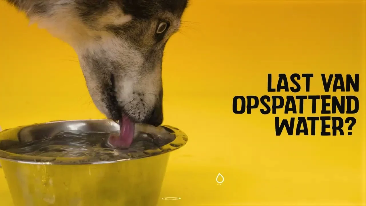 Silikonová miska na krmivo a vodu pro psy s okrajem proti rozlévání, 800 ml, antracitová – Excellent Pets No-Spill Bowl - Obrázek 4