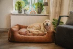 Pelíšek pro psy s vyjímatelným polštářem L, taupe – Let's Sleep Sweet Dreams - Obrázek 2