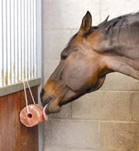 Solný liz z himálajské soli pro koně s provazem, 2 až 3 kg – Excellent Horse Salt Lick Himalaya - Obrázek 2