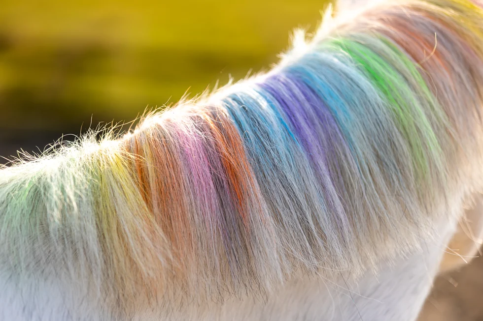 Křídy na srst pro koně, duhové barvy, 6 kusů – Lucky Horse Unicorn duhové křídy na srst - Obrázek 6